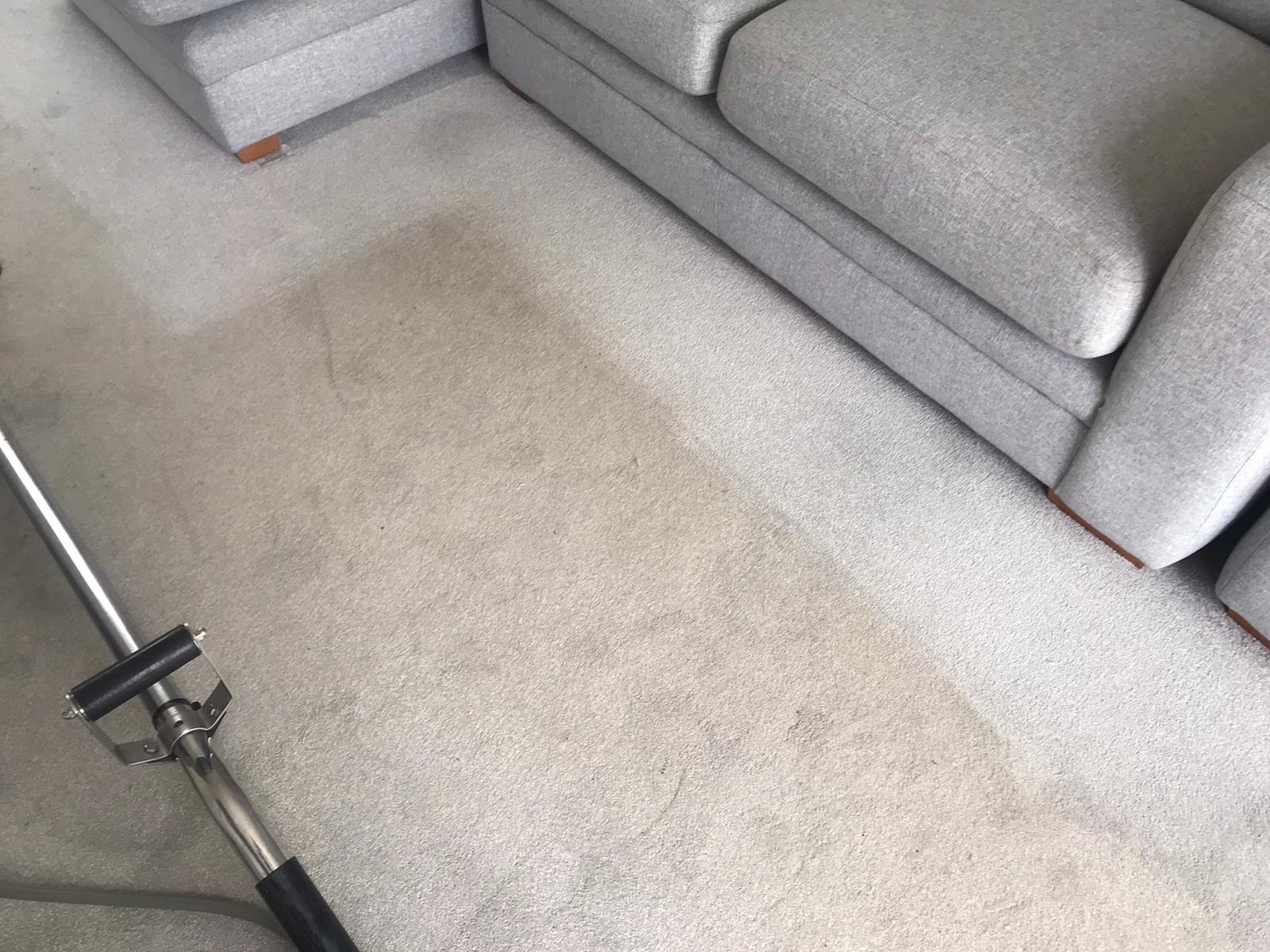 Sofa and upholstery stain removal by Epic Clean