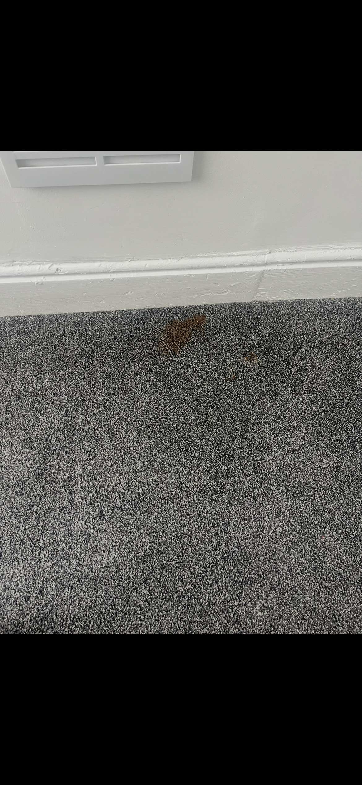 Carpet stain before spot cleaning by Epic Clean