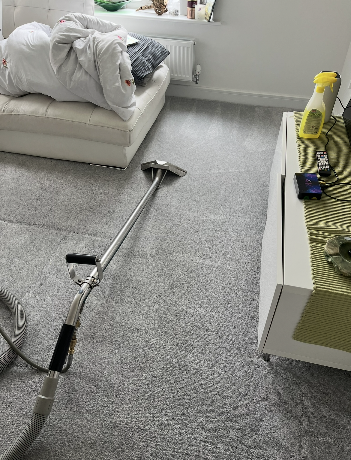 Professional carpet cleaning equipment in a home