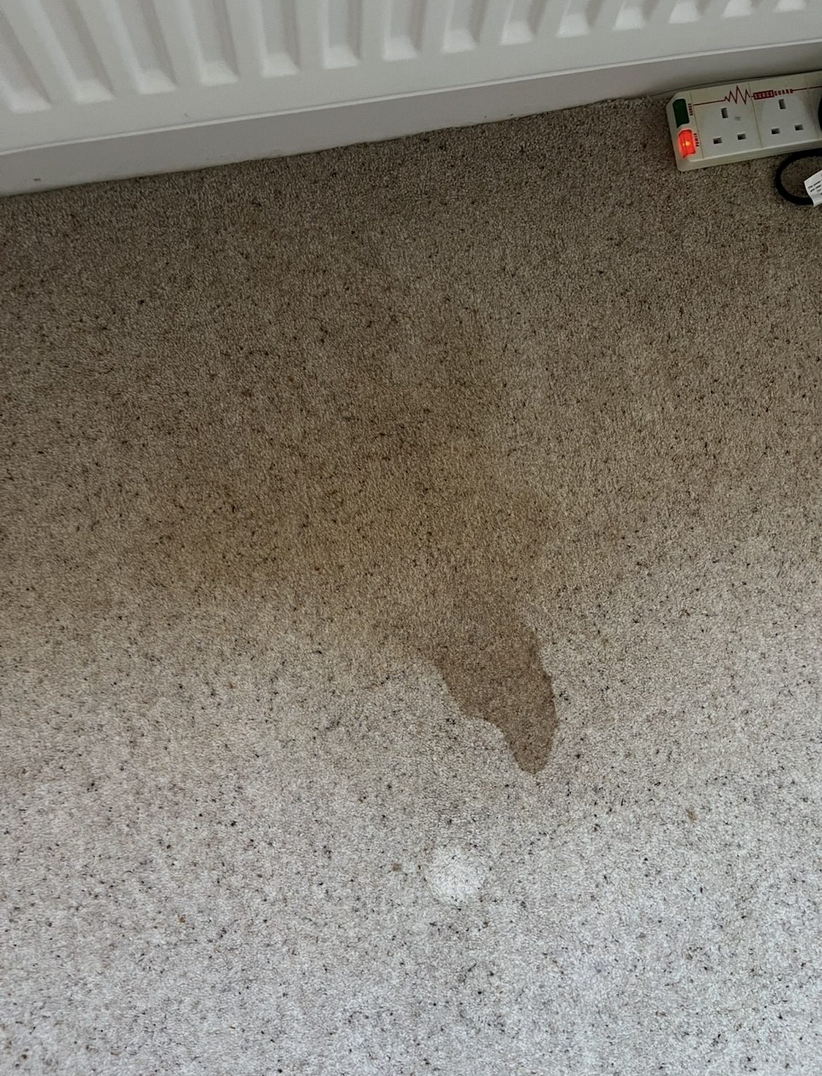 Carpet affected by staining and water damage