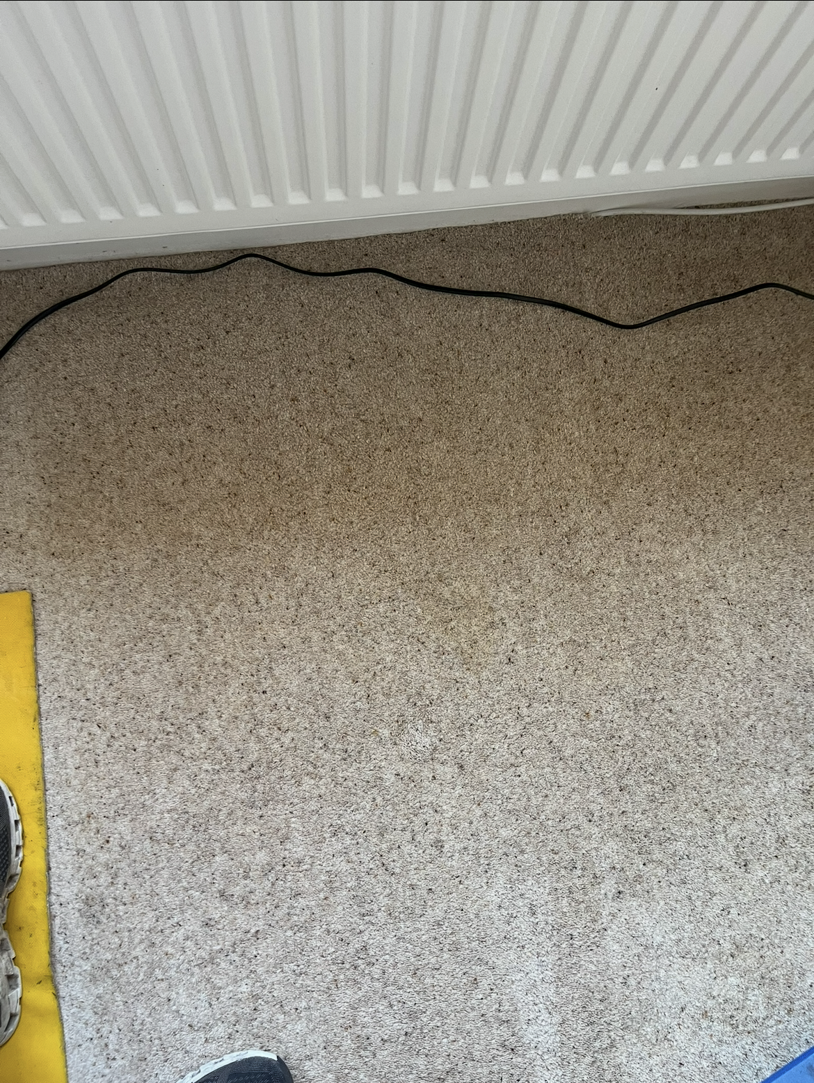 Carpet stain and damage inspection by Epic Clean