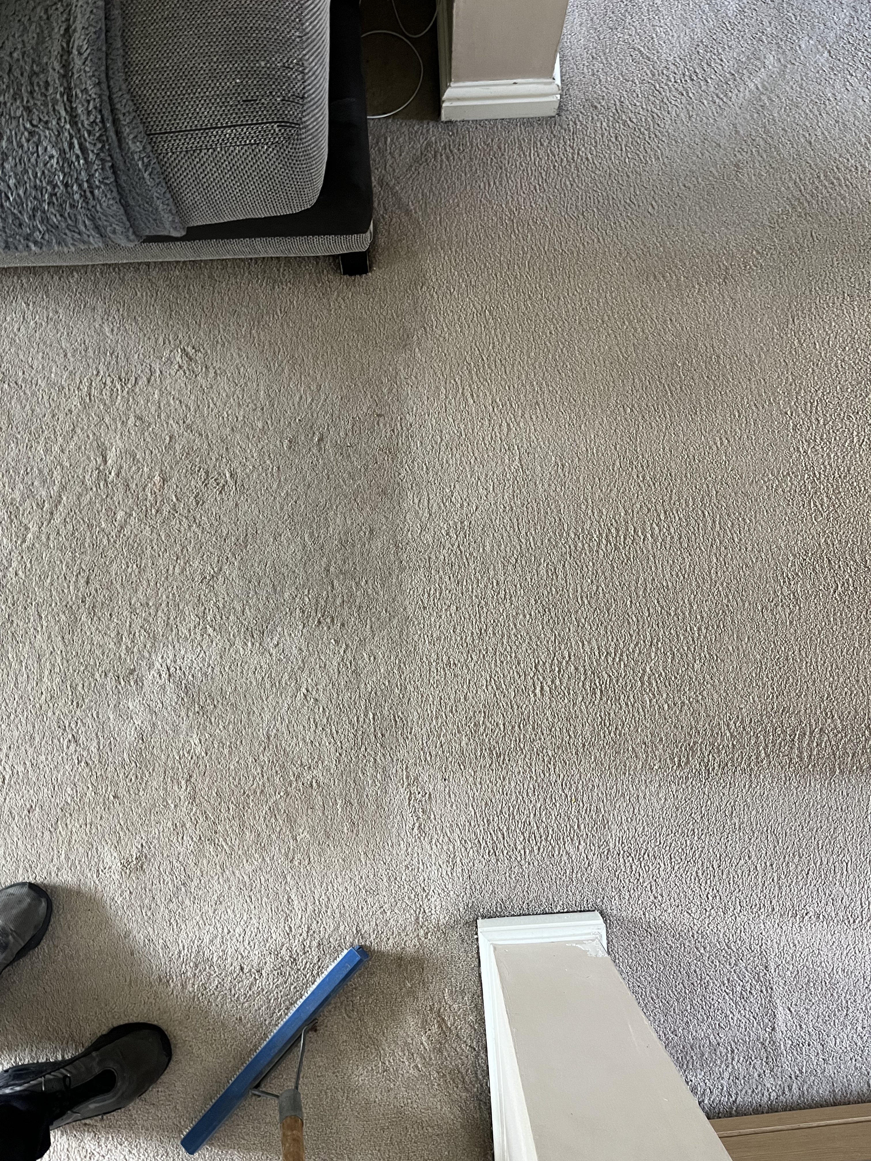 Water damaged carpet inspection by Epic Clean